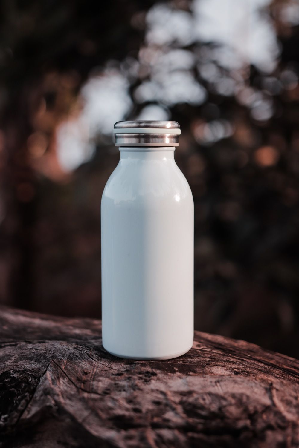 Best Alkaline Water Bottles