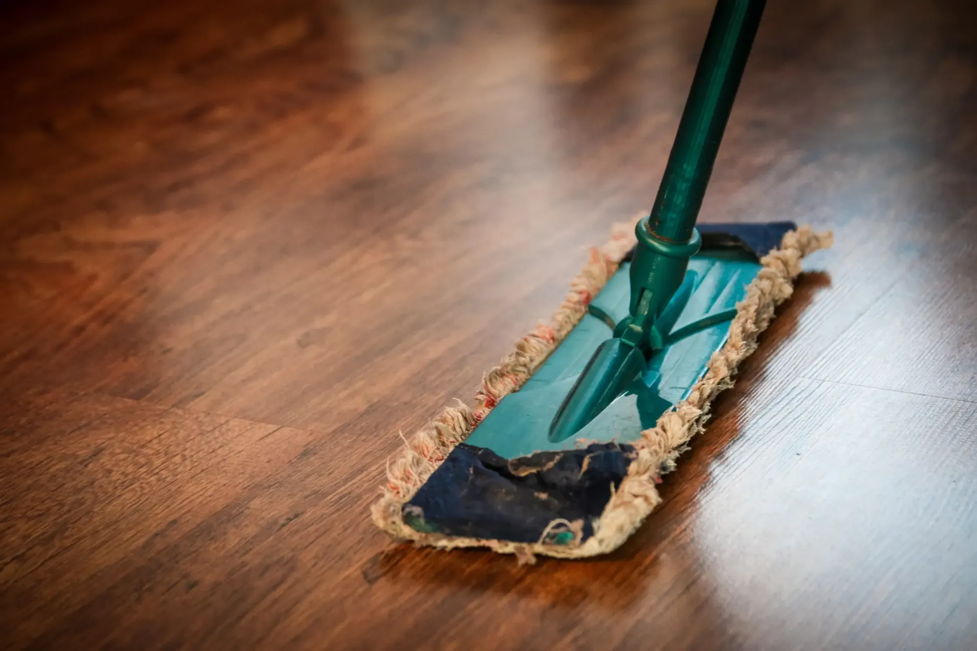 Best Dust Mop For Pet Hair