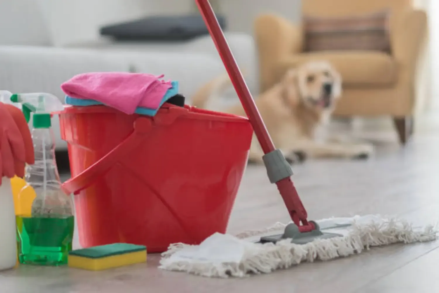 Best Mop For Dog Hair7