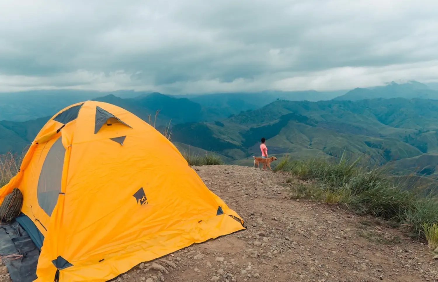 Best Tents For Camping With A Dog
