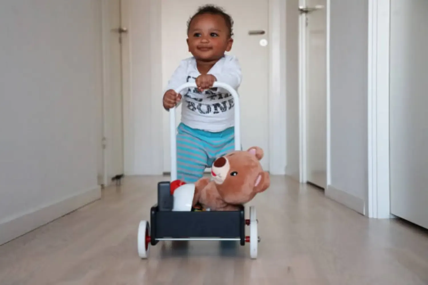 Best Baby Walker For Hardwood Floors