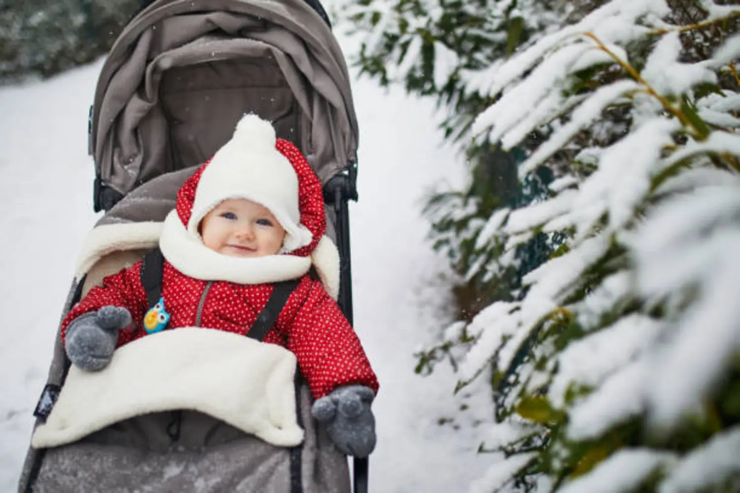 Best Stroller For Snow