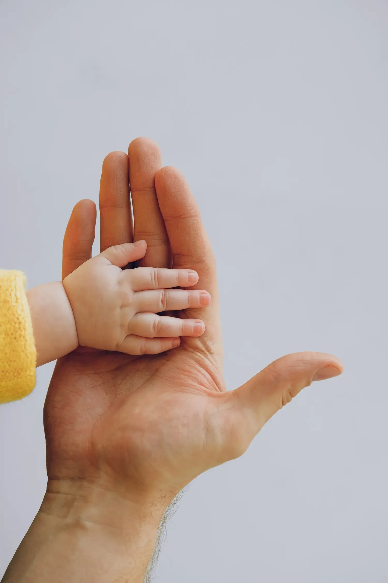 Best baby sign language book