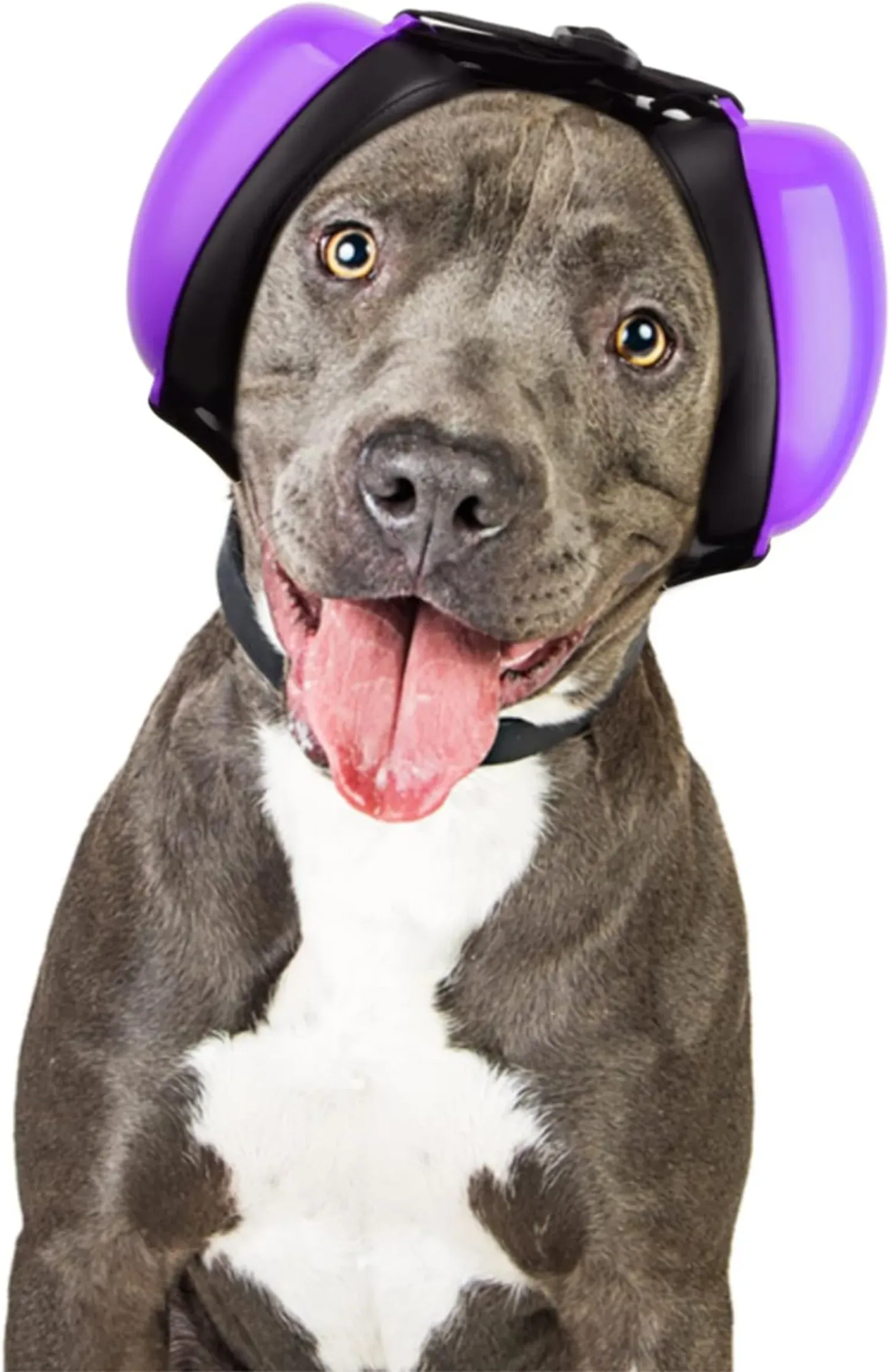 The Secret to a Tranquil Tail-Wagger? Introducing Dog Noise-Canceling Headphones