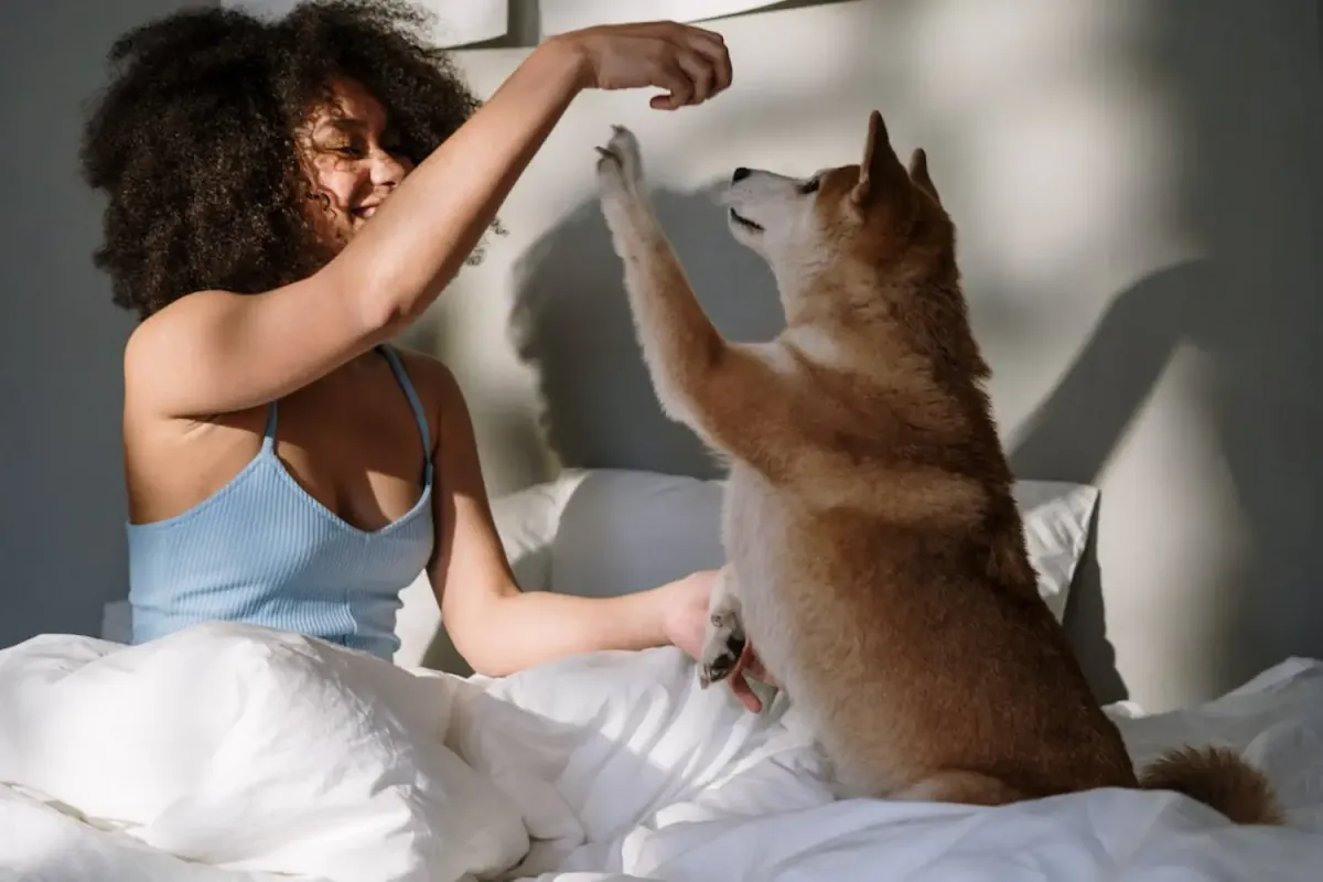 Sleep Soundly with Fido: Discover the Best Bed Sheets for Dog Hair and Keeping it at Bay