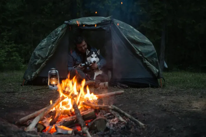 Best Tents For Camping With A Dog